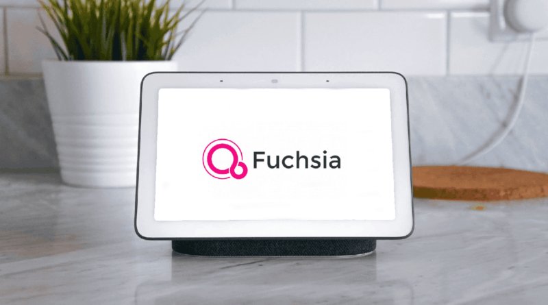 Fuchsia 