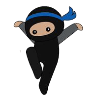 ninja2