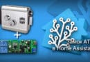 atis lock to homeassistant 