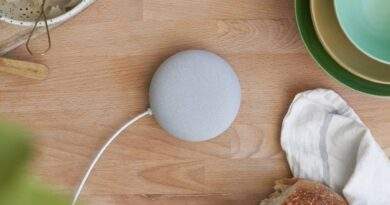 google nest mini 