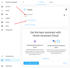 HA settings go to voice 