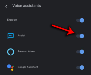 assist 